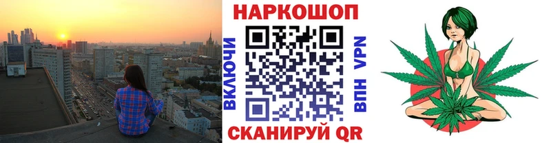 A PVP Куровское