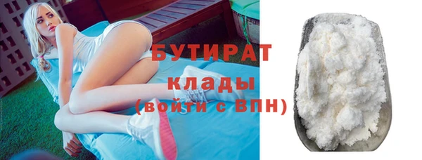 прущие грибы Надым