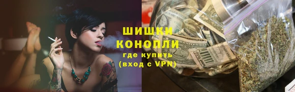 спайс Рославль