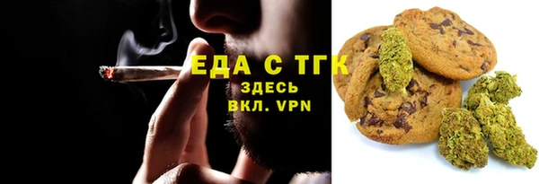 прущие грибы Надым