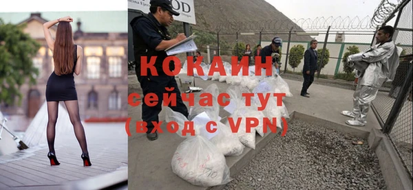 стафф Сясьстрой