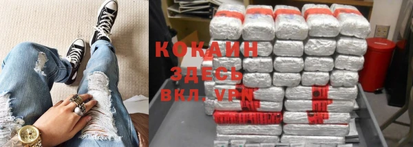 прущие грибы Надым