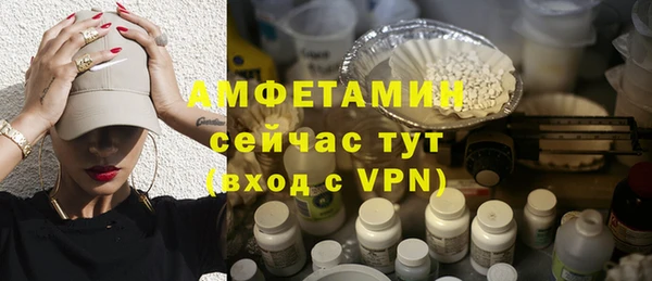 прущие грибы Надым