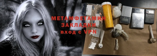 прущие грибы Надым