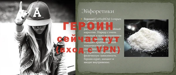 стаф Туринск